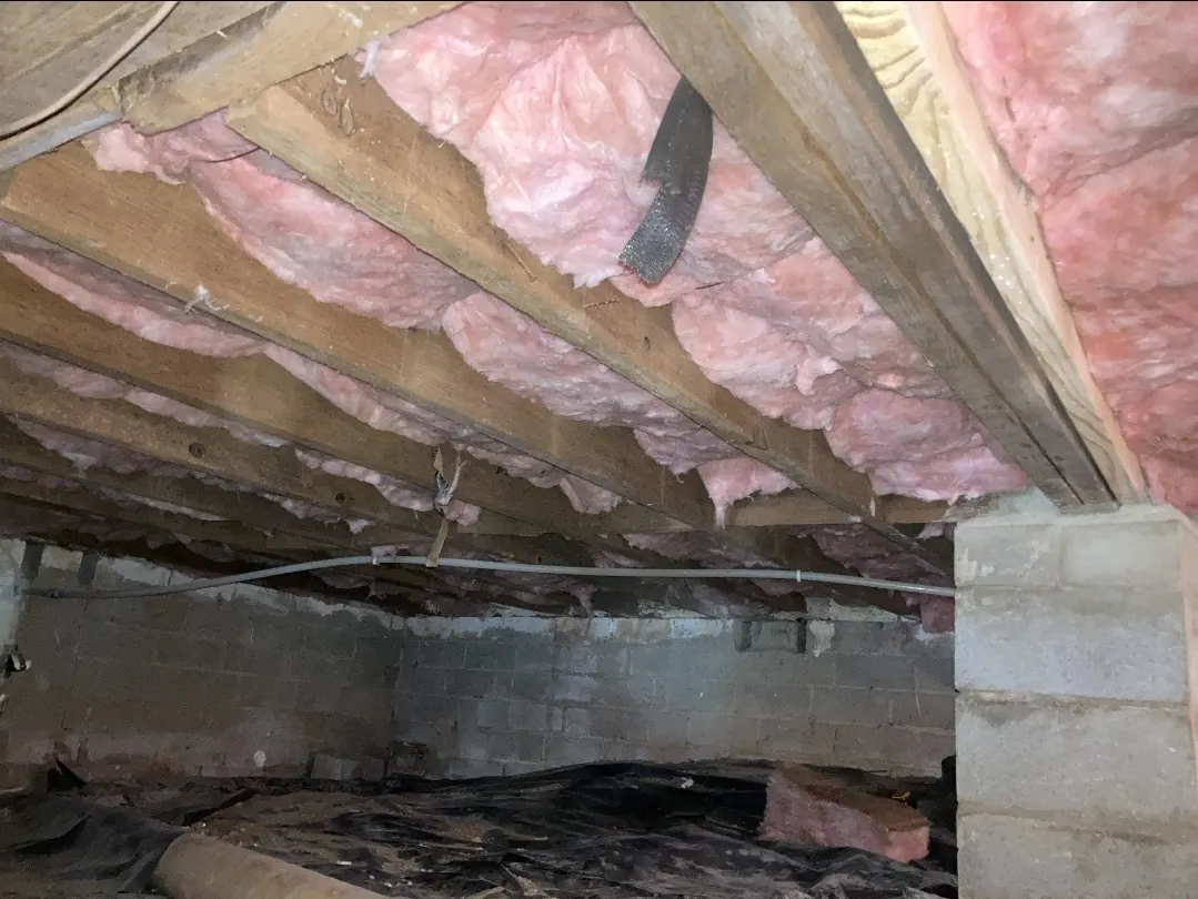 Pink fiberglass batts installed between the floor joists of a crawl space