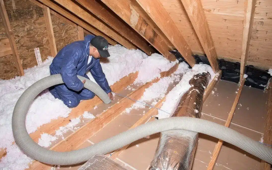 Best Insulation Removal Service